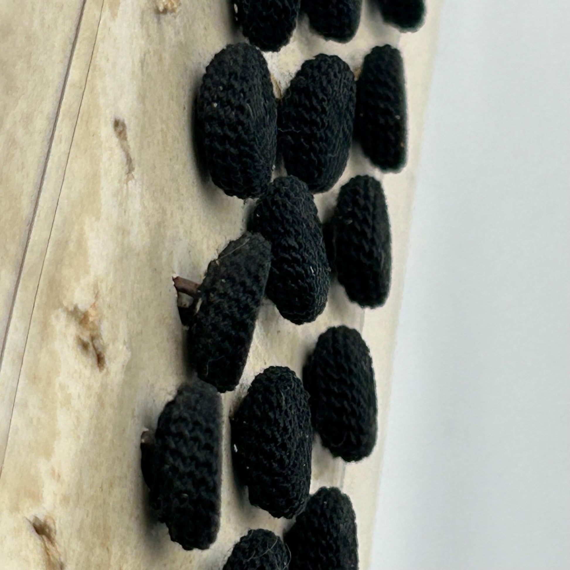 side view of 26 Antique French Black Textile Buttons 12mm, Metal Shanks on original card - Splendid Vintage World
