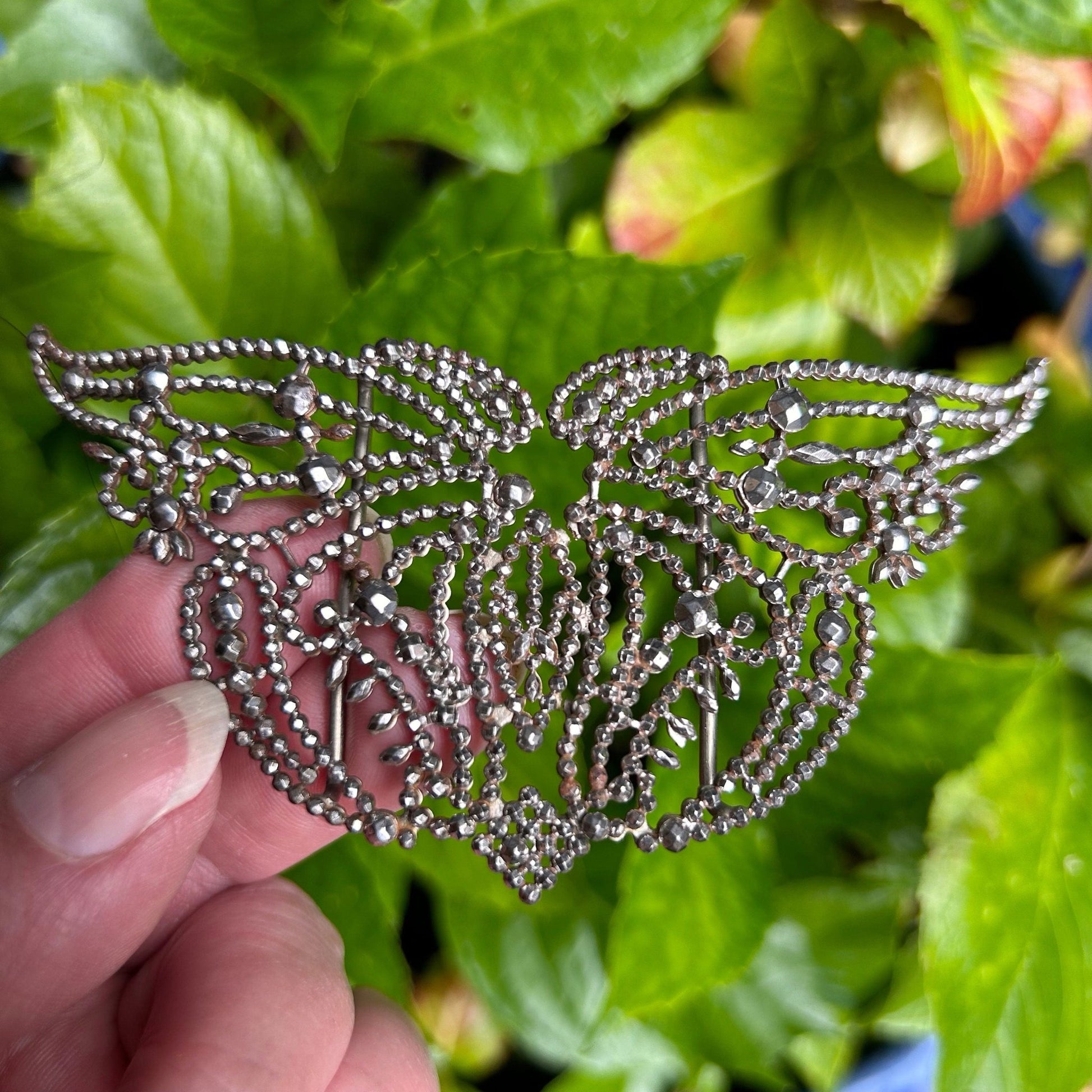 Antique Cut Steel Butterfly 19th Century Sash Buckle - Splendid Vintage World