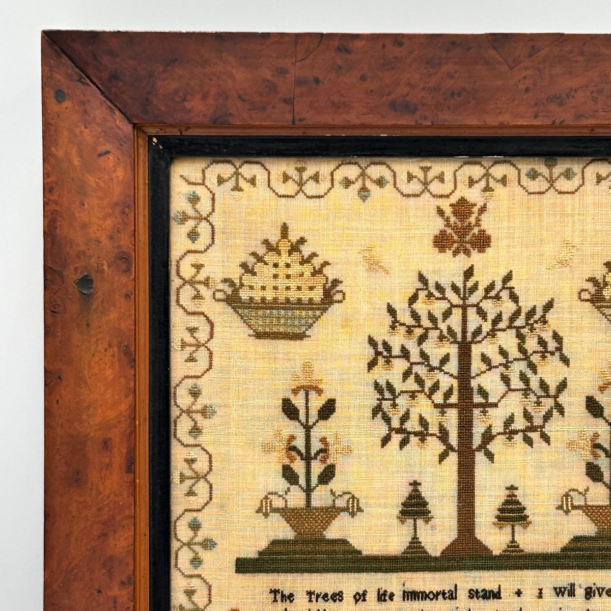 Antique Georgian finely embroidered sampler floral borders verse trees & plants maple frame  - Splendid Vintage World
