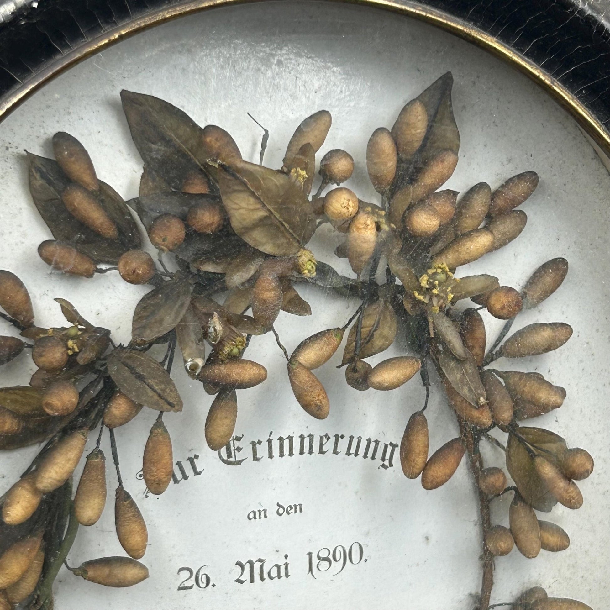 close up of Antique Victorian Framed Wax Orange Blossom Wedding Memoriam - Splendid Vintage World
