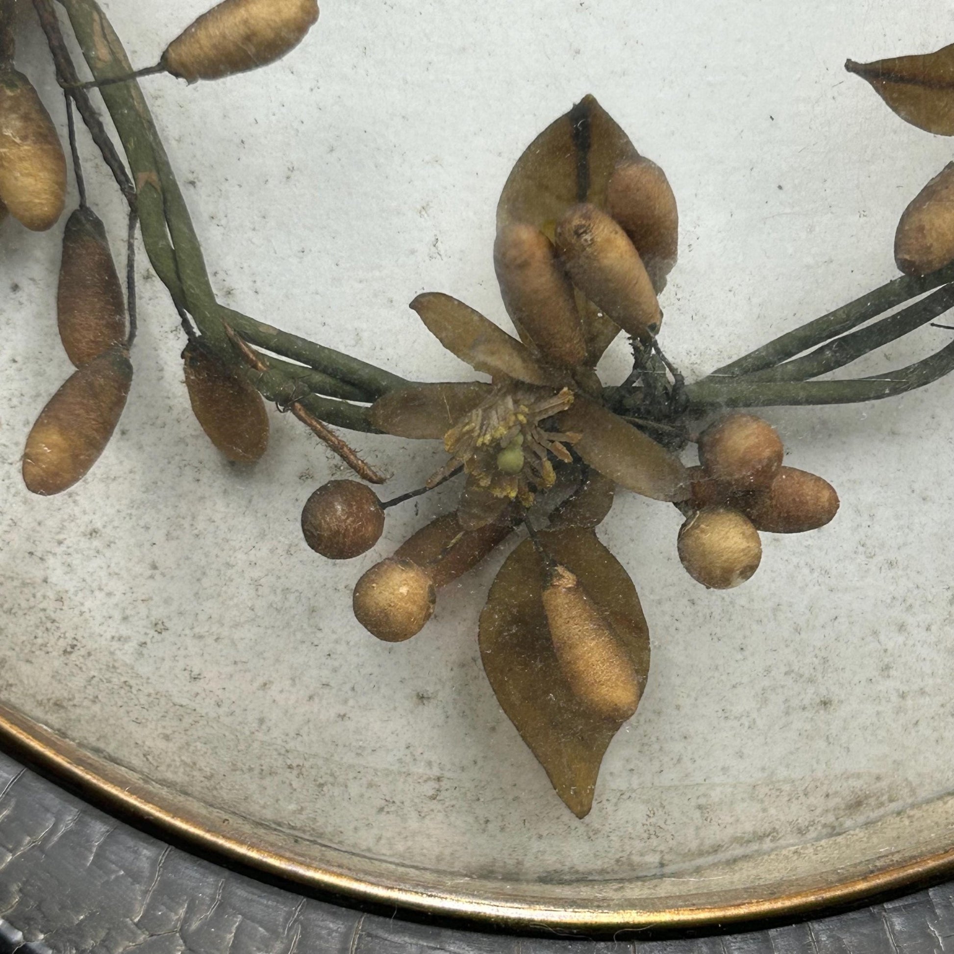 Antique Victorian Framed Wax Orange Blossom buds close up photo - Splendid Vintage World
