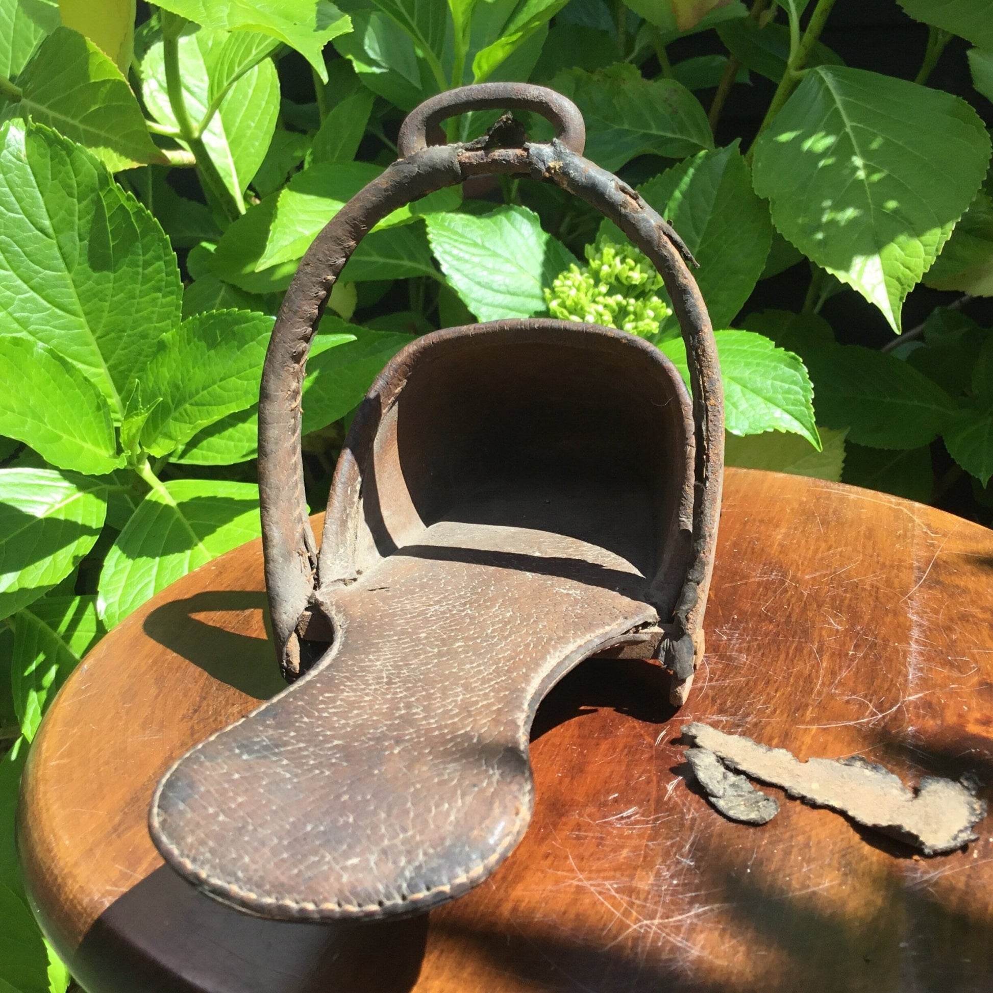 Antique Victorian side saddle stirrup pigskin c1850 - Splendid Vintage World