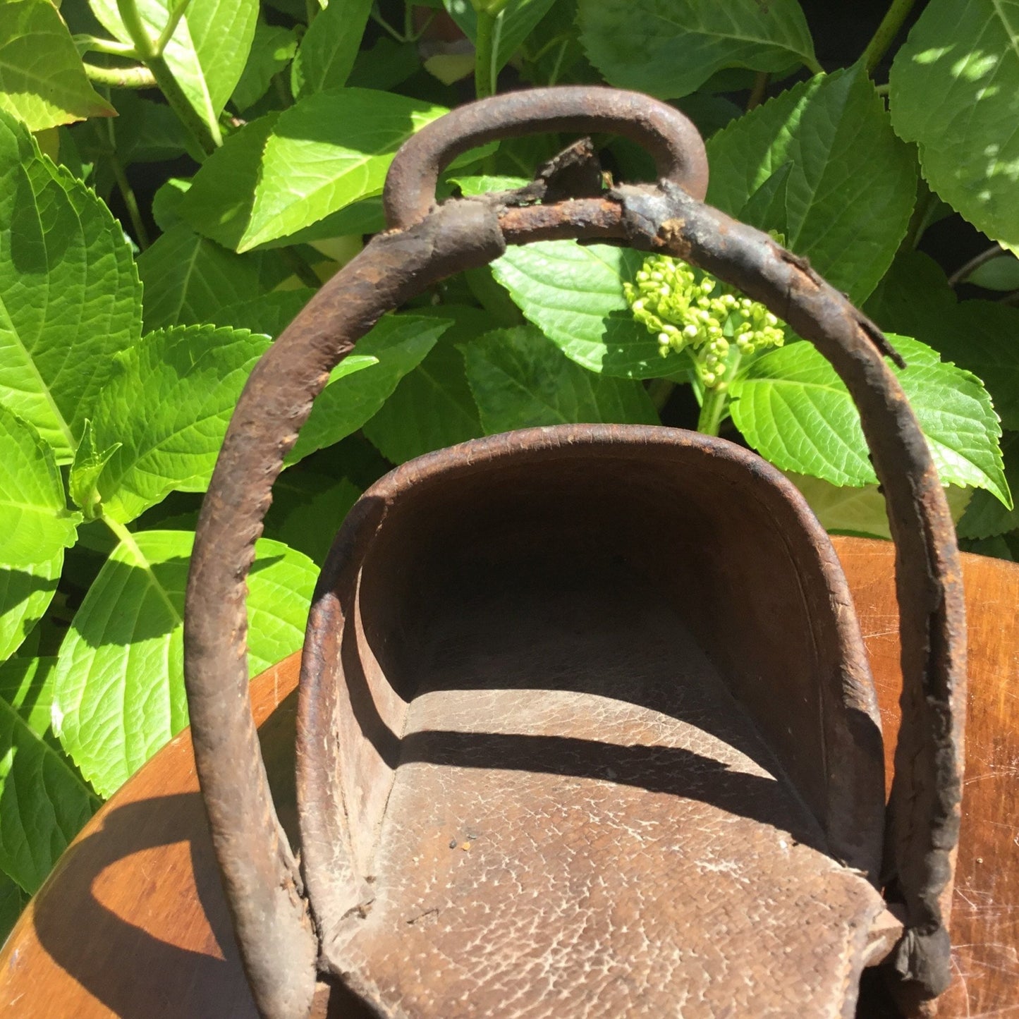 Antique Victorian side saddle stirrup pigskin c1850 - Splendid Vintage World