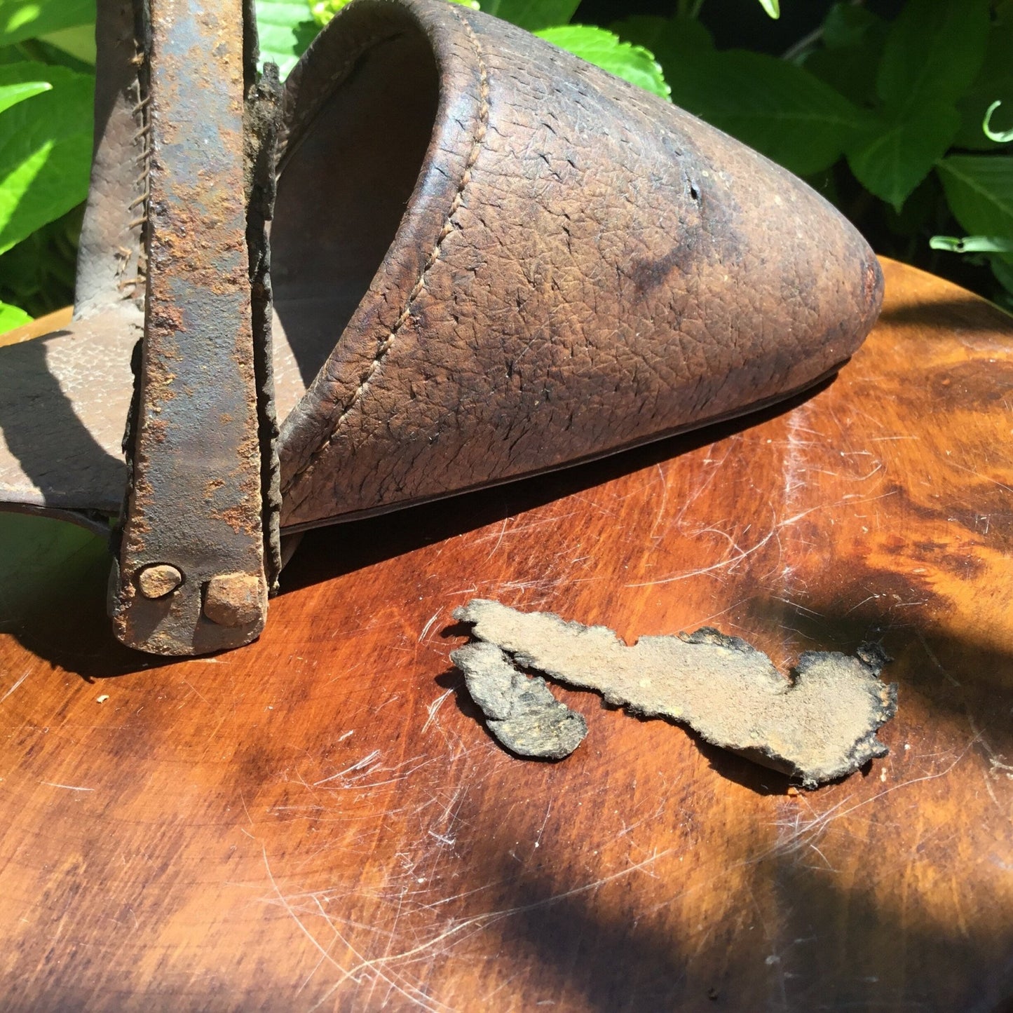 Antique Victorian side saddle stirrup pigskin c1850 - Splendid Vintage World