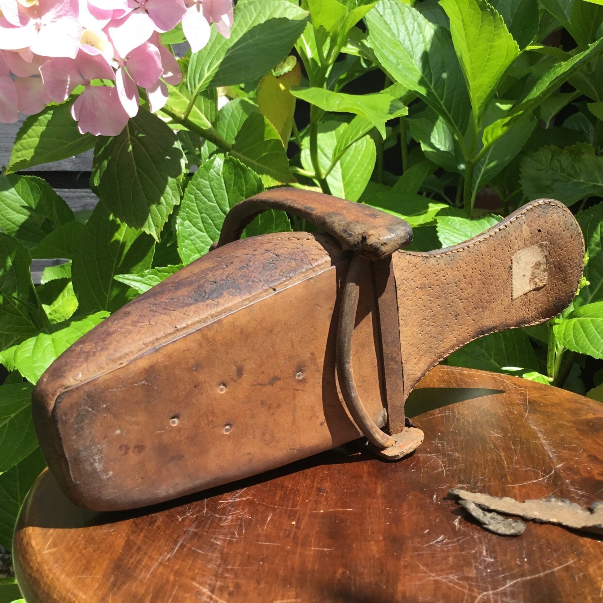 Antique Victorian side saddle stirrup pigskin c1850 - Splendid Vintage World
