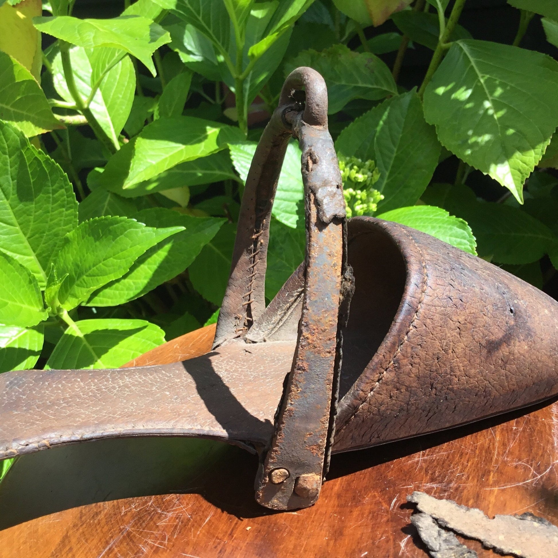 Antique Victorian side saddle stirrup pigskin c1850 - Splendid Vintage World