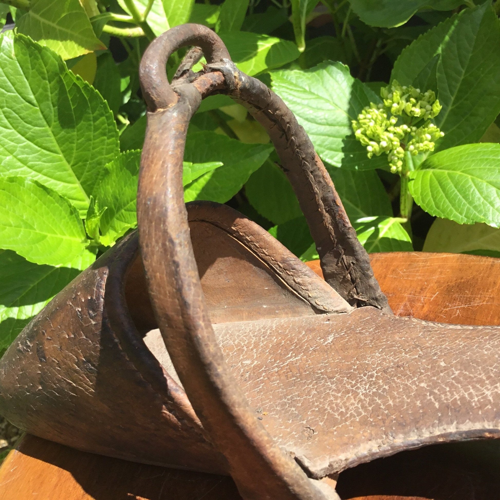 Antique Victorian side saddle stirrup pigskin c1850 - Splendid Vintage World