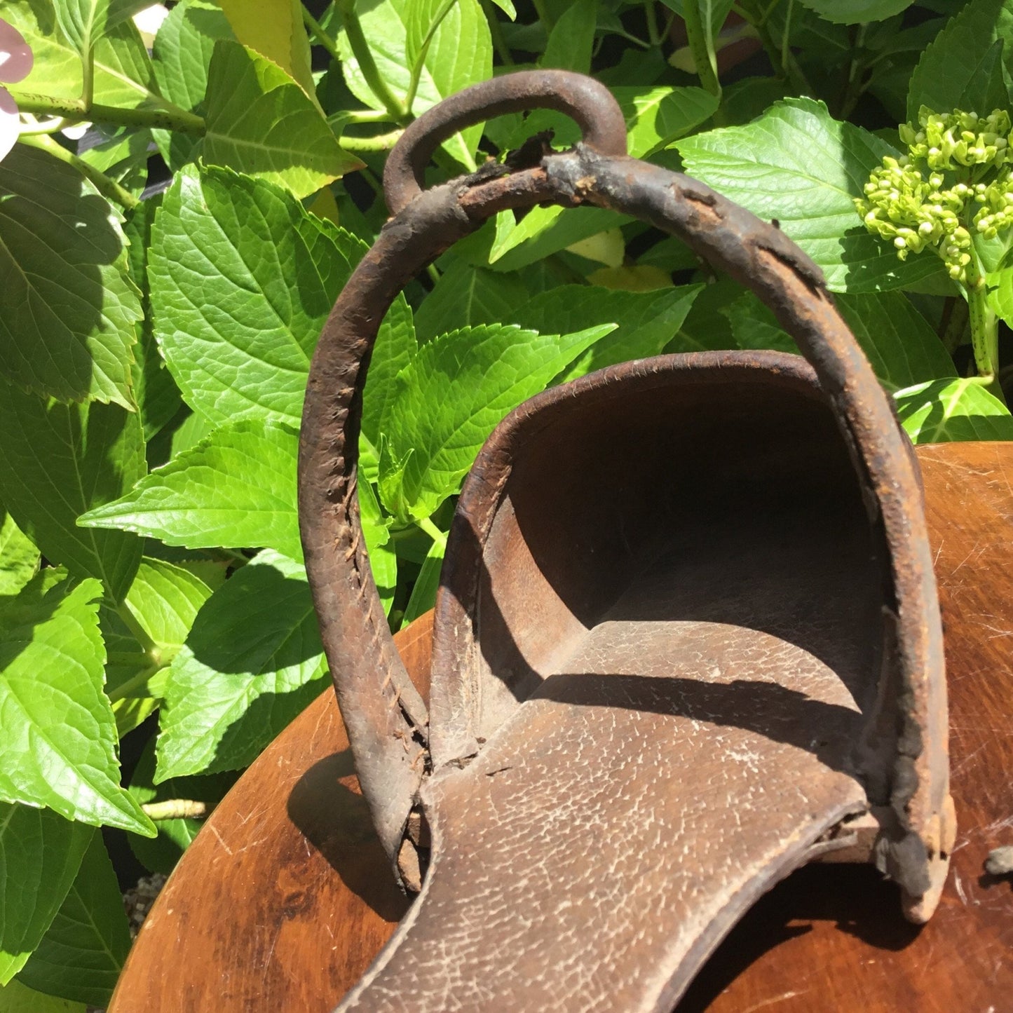 Antique Victorian side saddle stirrup pigskin c1850 - Splendid Vintage World