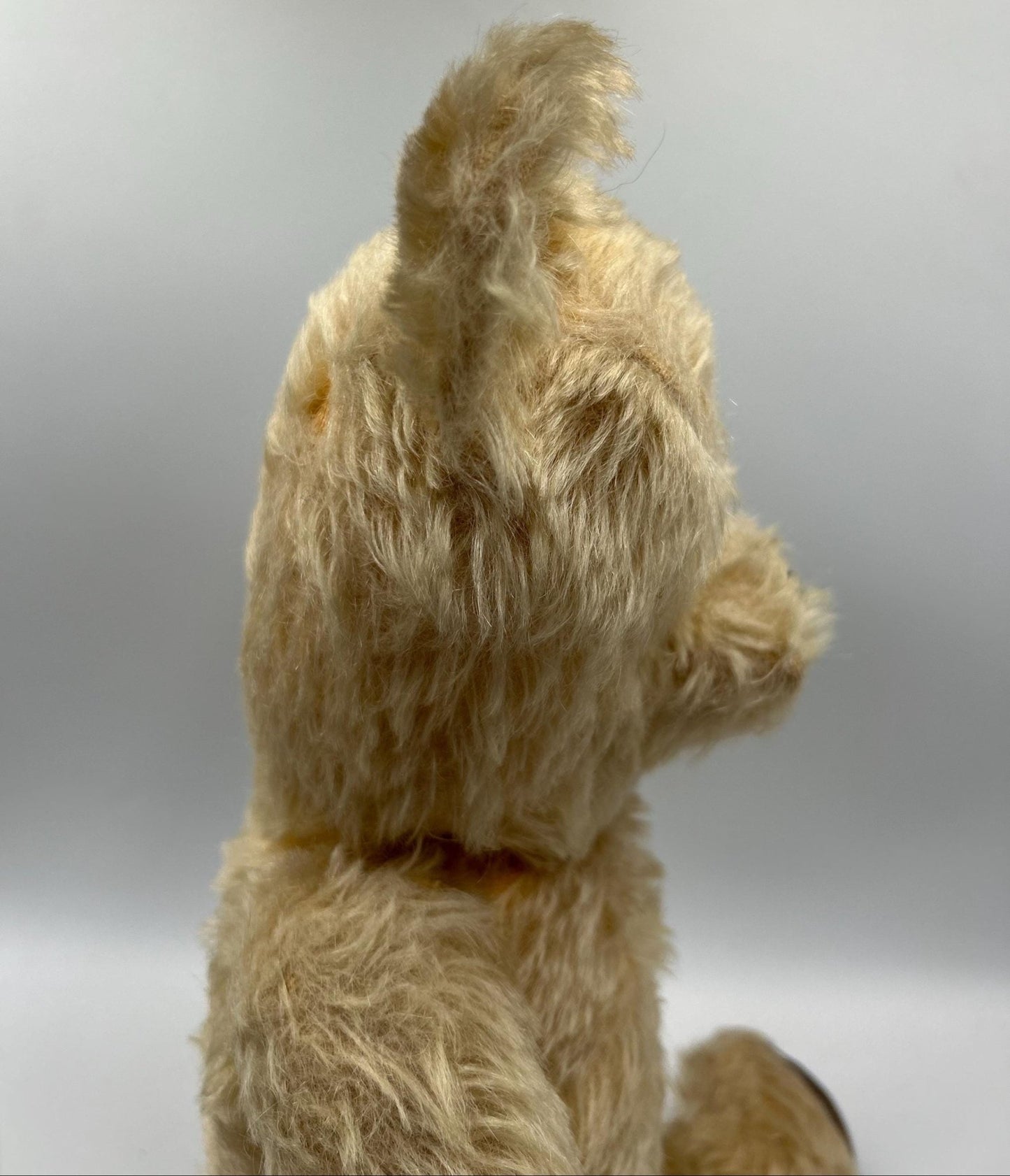 Vintage teddy bear profile on light grey background - Splendid Vintage World