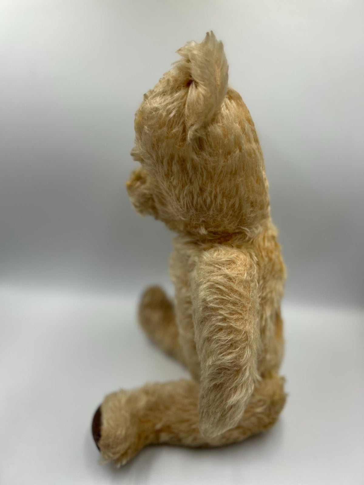 Vintage teddy bear seated profile on grey background - Splendid Vintage World