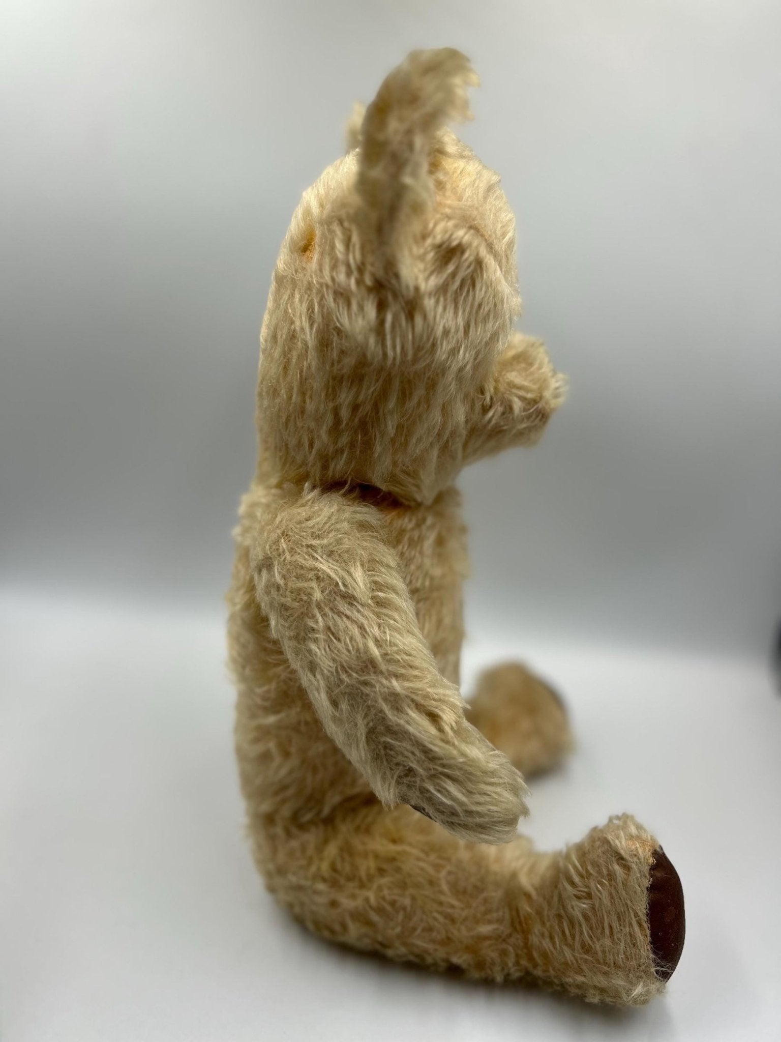 Vintage teddy bear sitting profile on light grey background - Splendid Vintage World