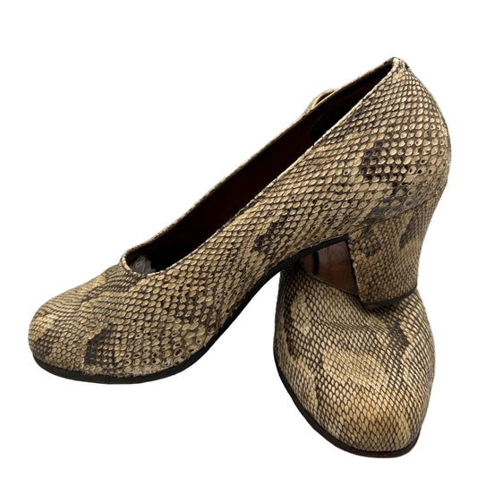 snakeskin  leather heeled shoes on light background- Splendid Vintage World