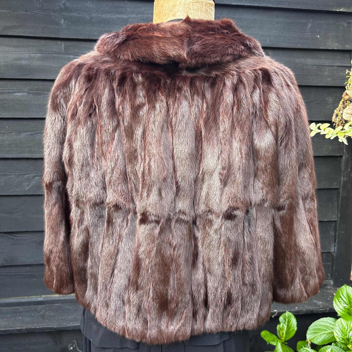 Vintage 1950s fur jacket, cropped with cropped sleeves against black background - Splendid Vintage World