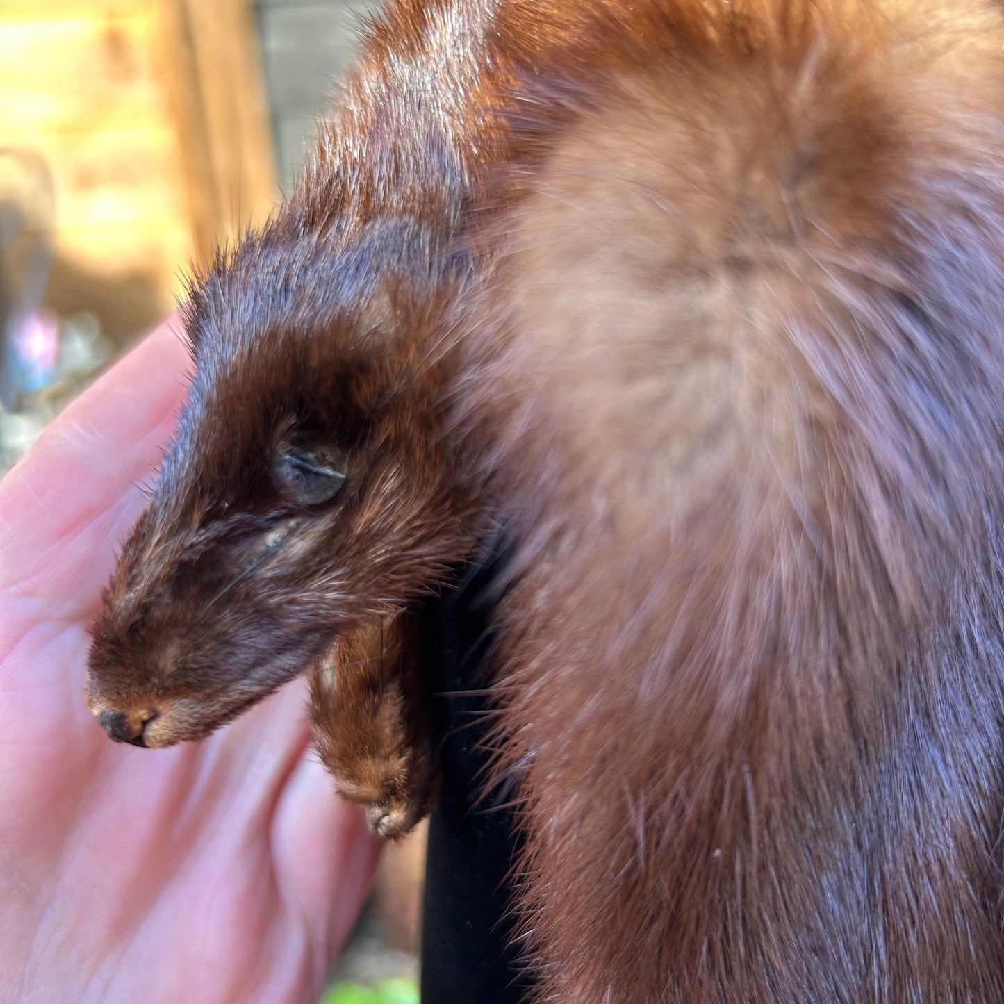 Vintage mink fur stole tippet close up held by hand - Splendid Vintage World