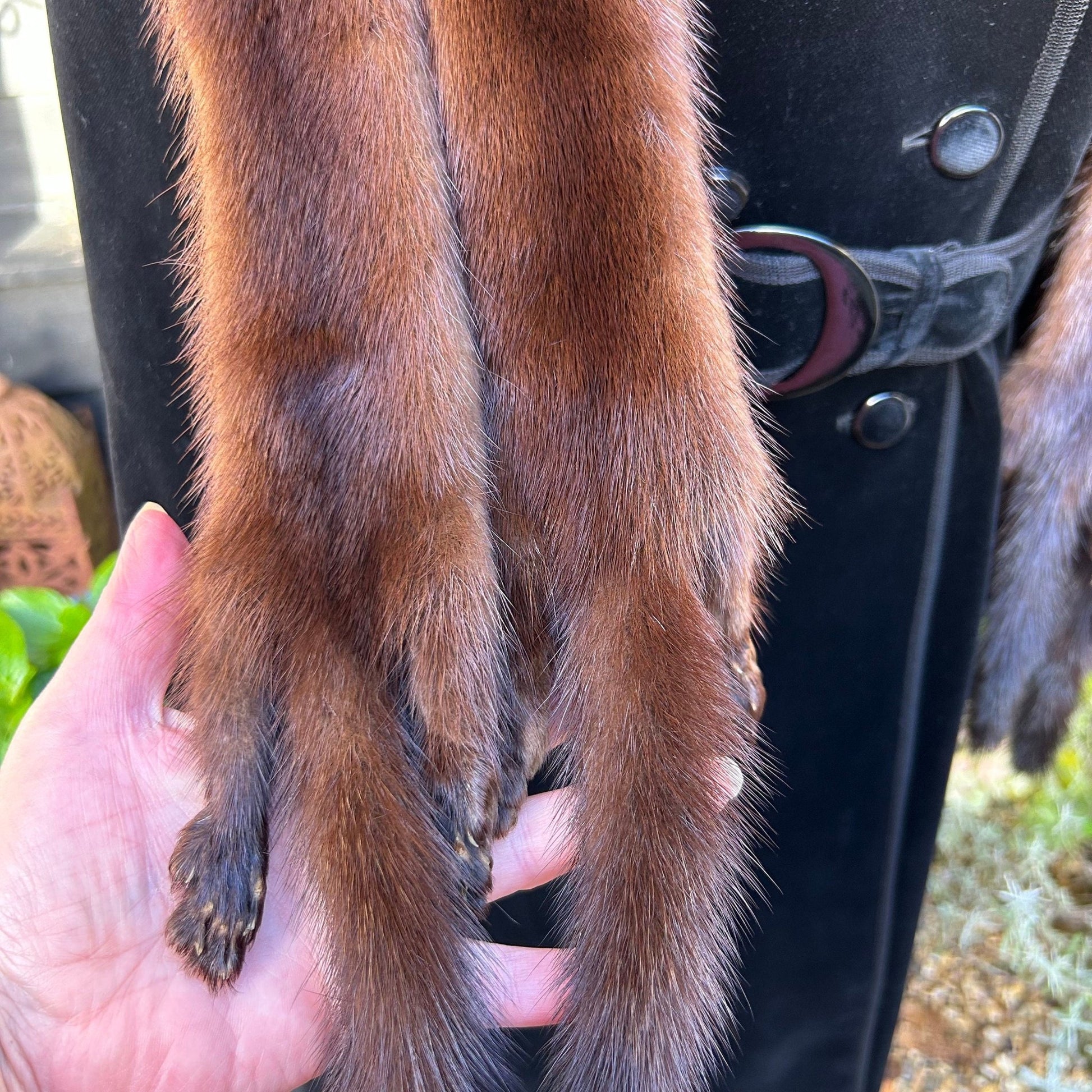 Vintage mink fur stole tippet tails and legs held in hand against black coat - Splendid Vintage World