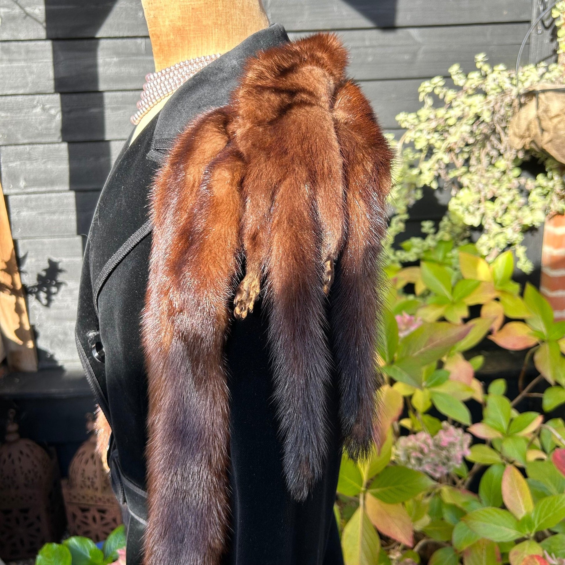 Vintage mink fur stole tippet over black coat side view against black fence & greenery - Splendid Vintage World